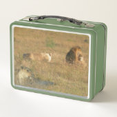 Zuid-Afrikaanse Zebras en Lunchbox (Achterkant)