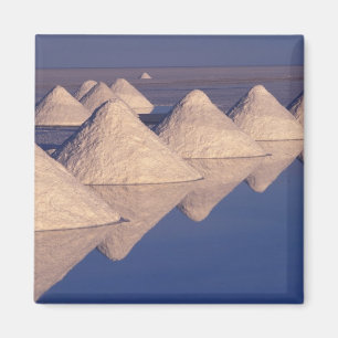 Zuid-Amerika, Bolivia. Salar de Uyuni Magneet