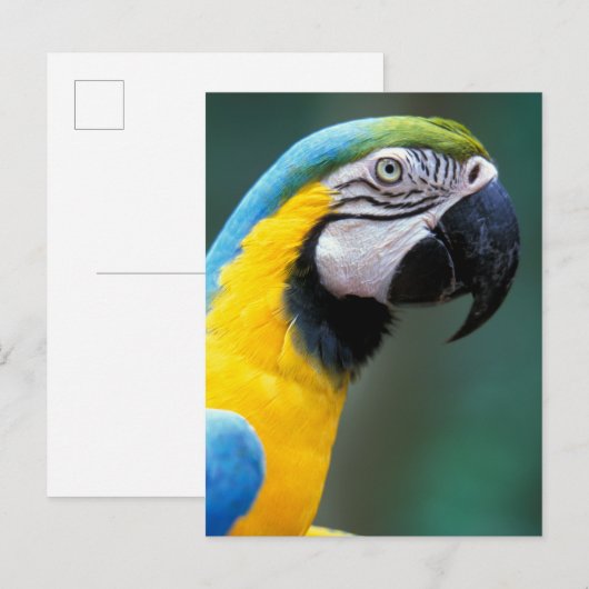 Zuid-Amerika, Brazilië, Iguacu Nationaal Park Briefkaart (Voorkant / Achterkant)