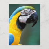 Zuid-Amerika, Brazilië, Iguacu Nationaal Park Briefkaart (Voorkant)