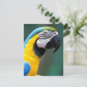 Zuid-Amerika, Brazilië, Iguacu Nationaal Park Briefkaart (Staand voorkant)