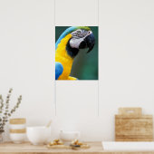 Zuid-Amerika, Brazilië, Iguacu Nationaal Park Poster (Keuken)