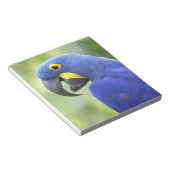 Zuid-Amerika, Brazilië, Pantanal Notitieblok (Schuin)