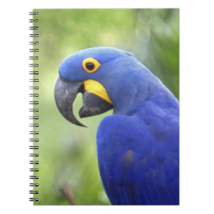 Zuid-Amerika, Brazilië, Pantanal Notitieboek