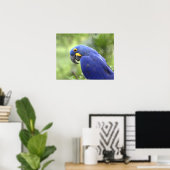Zuid-Amerika, Brazilië, Pantanal Poster (Thuiskantoor)