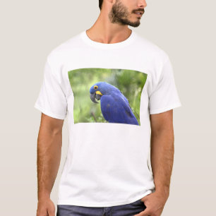 Zuid-Amerika, Brazilië, Pantanal T-shirt