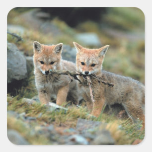 Zuid-Amerika, Chili, Nationaal Torres del Paine Vierkante Sticker