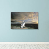 Zuid-Amerika, Chili, Patagonia, Magellanes, Canvas Afdruk (Insitu (Houten vloer))