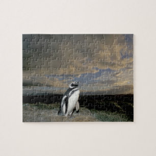 Zuid-Amerika, Chili, Patagonia, Magellanes, Legpuzzel