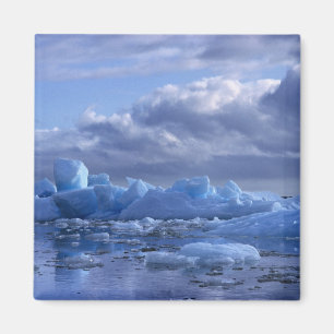 Zuid-Amerika, Chili, San Rafael Lagoon NP. Magneet