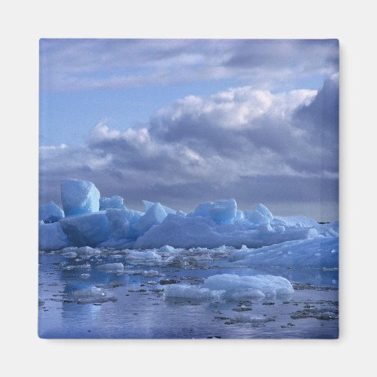 Zuid-Amerika, Chili, San Rafael Lagoon NP. Magneet (Voorkant)