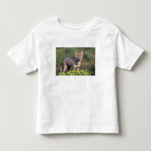 Zuid-Amerika, Chili, Torres del Paine NP, Kinder Shirts