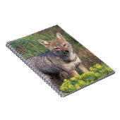 Zuid-Amerika, Chili, Torres del Paine NP, Notitieboek (Rechterzijde)