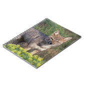 Zuid-Amerika, Chili, Torres del Paine NP, Notitieboek (Linkerzijde)