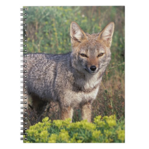 Zuid-Amerika, Chili, Torres del Paine NP, Notitieboek