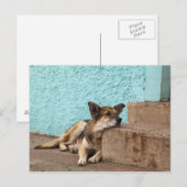 Zuid-Amerika, Chili, Valparaiso. Duits Briefkaart (Voorkant / Achterkant)