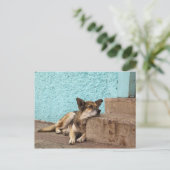 Zuid-Amerika, Chili, Valparaiso. Duits Briefkaart (Staand voorkant)