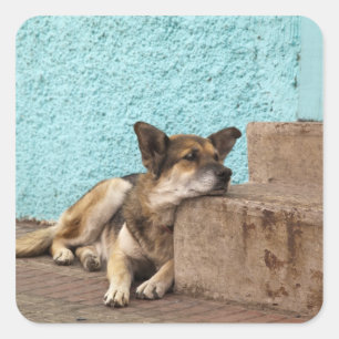 Zuid-Amerika, Chili, Valparaiso. Duits Vierkante Sticker