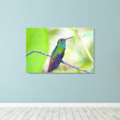 Zuid-Amerika, Costa Rica, Sarapiqui, La Selva Canvas Afdruk (Insitu (Houten vloer))