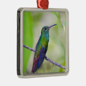 Zuid-Amerika, Costa Rica, Sarapiqui, La Selva Metalen Ornament (Rechts)