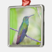 Zuid-Amerika, Costa Rica, Sarapiqui, La Selva Metalen Ornament (Links)