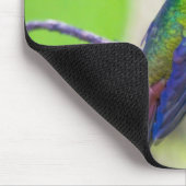 Zuid-Amerika, Costa Rica, Sarapiqui, La Selva Muismat (Hoek)