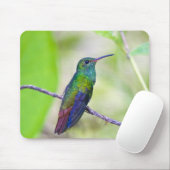 Zuid-Amerika, Costa Rica, Sarapiqui, La Selva Muismat (Met muis)