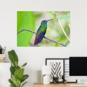 Zuid-Amerika, Costa Rica, Sarapiqui, La Selva Poster (Thuiskantoor)