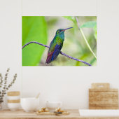 Zuid-Amerika, Costa Rica, Sarapiqui, La Selva Poster (Keuken)