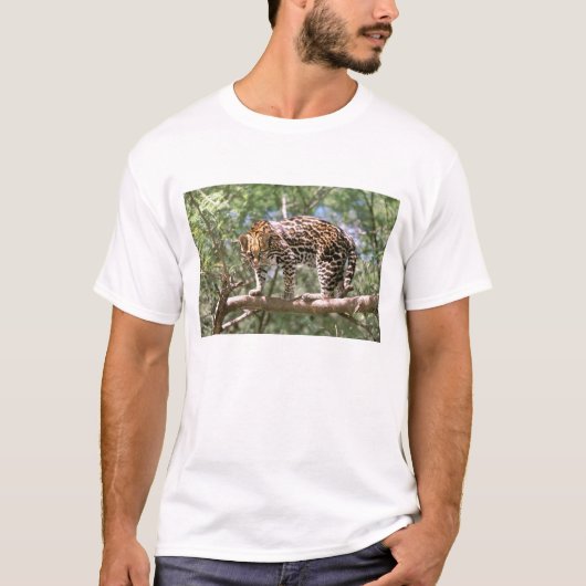 Zuid-Amerika, Ecuador, Amazon. Ocelot T-shirt (Voorkant)
