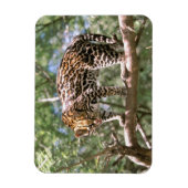 Zuid-Amerika, Ecuador, Amazone. Ocelot Magneet (Verticaal)