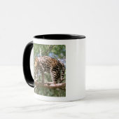 Zuid-Amerika, Ecuador, Amazone. Ocelot Mok (Voorkant links)