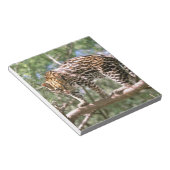 Zuid-Amerika, Ecuador, Amazone. Ocelot Notitieblok (Schuin)