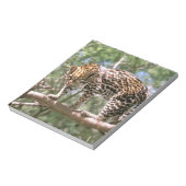 Zuid-Amerika, Ecuador, Amazone. Ocelot Notitieblok (Linkerzijde)