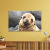 Zuid-Amerika, Ecuador, Galapagos-eilanden Canvas Afdruk (Insitu (Woonkamer))