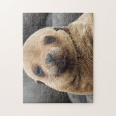 Zuid-Amerika, Ecuador, Galapagos-eilanden Legpuzzel (Verticaal)