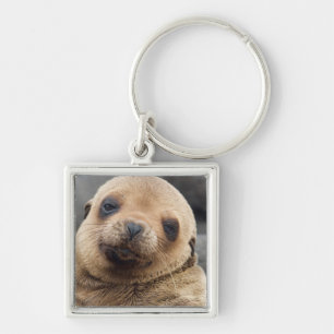 Zuid-Amerika, Ecuador, Galapagos-eilanden Sleutelhanger