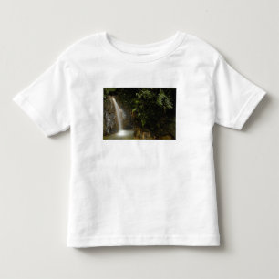 Zuid-Amerika, Ecuador, oostelijke helling van de Kinder Shirts
