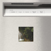 Zuid-Amerika, Ecuador, oostelijke helling van de Magneet (Insitu (Vaatwasser))