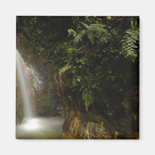 Zuid-Amerika, Ecuador, oostelijke helling van de Magneet