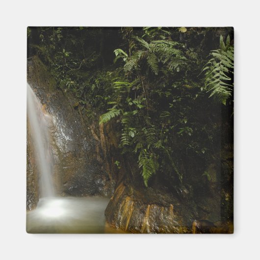 Zuid-Amerika, Ecuador, oostelijke helling van de Magneet (Voorkant)