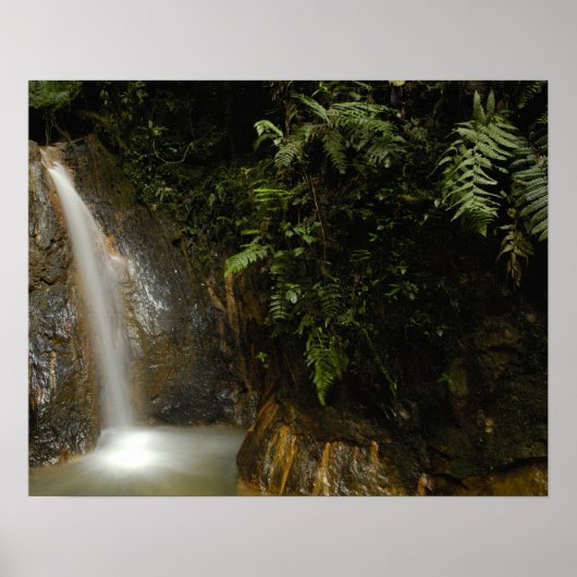 Zuid-Amerika, Ecuador, oostelijke helling van de Poster (Voorkant)