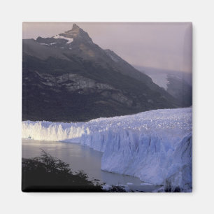 Zuid-Amerika, Patagonia, Argentinië Park Magneet