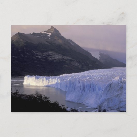 Zuid-Amerika, Patagonia, Argentinië Parque Briefkaart (Voorkant)