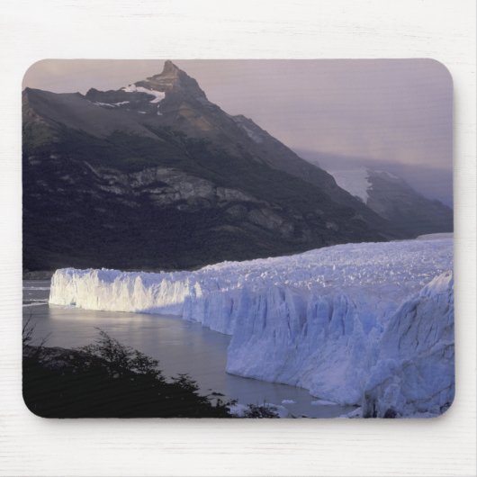 Zuid-Amerika, Patagonia, Argentinië Parque Muismat (Voorkant)