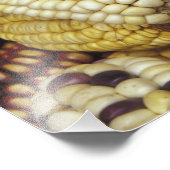 Zuid-Amerika, Peru Corn, Maïs Foto Afdruk (Hoek)