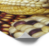 Zuid-Amerika, Peru Corn, Maïs Poster (Hoek)