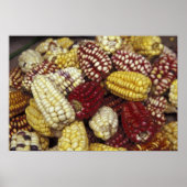 Zuid-Amerika, Peru Corn, Maïs Poster (Voorkant)