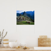 Zuid-Amerika, Peru. Een lama rust op een heuvel Poster (Keuken)