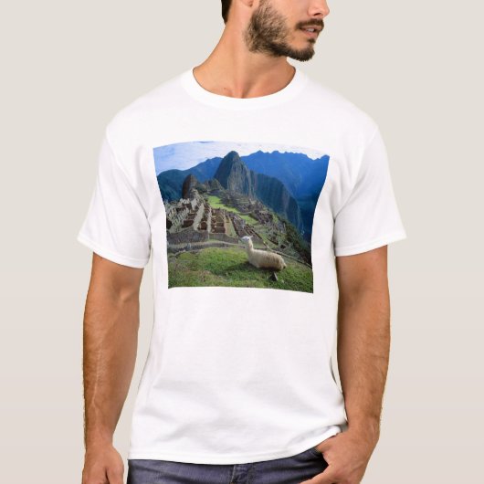 Zuid-Amerika, Peru. Een lama rust op een heuvel T-shirt (Voorkant)